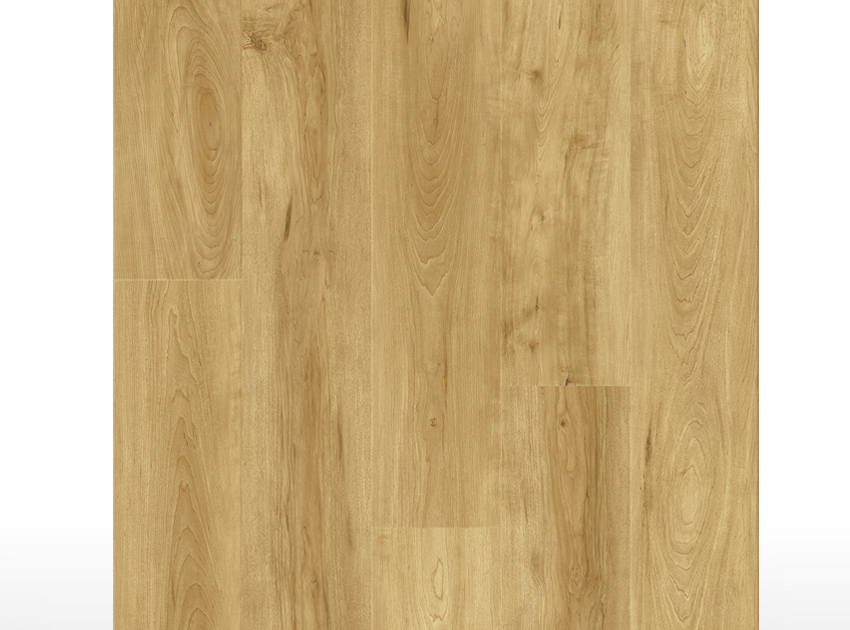SPC | Havana Oak